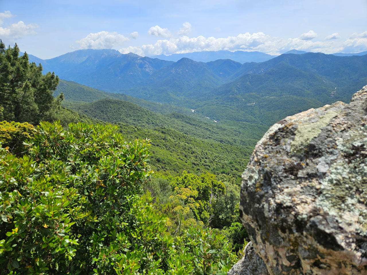 Korsika 2026 – Bild 9