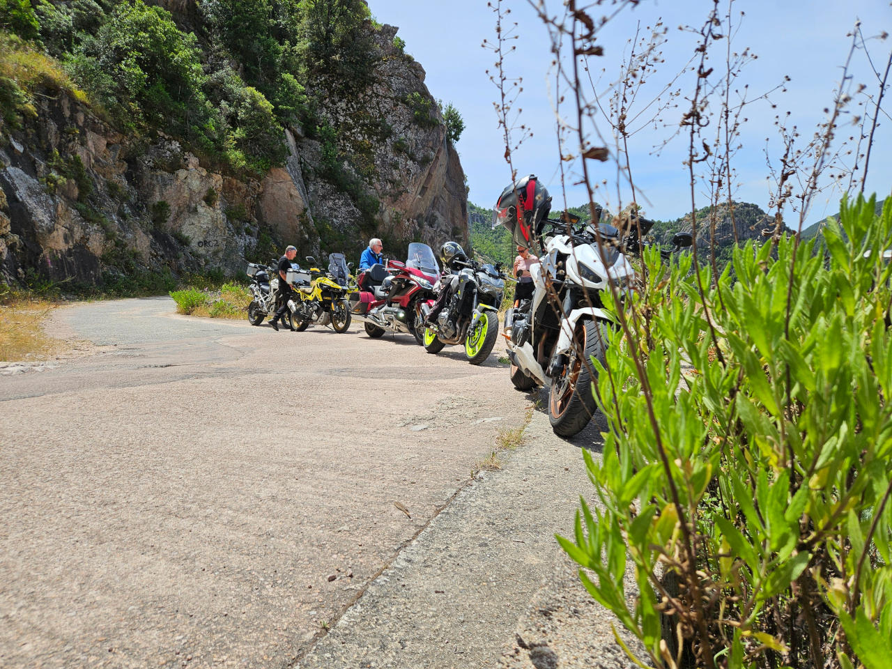 Korsika 2026 – Bild 8