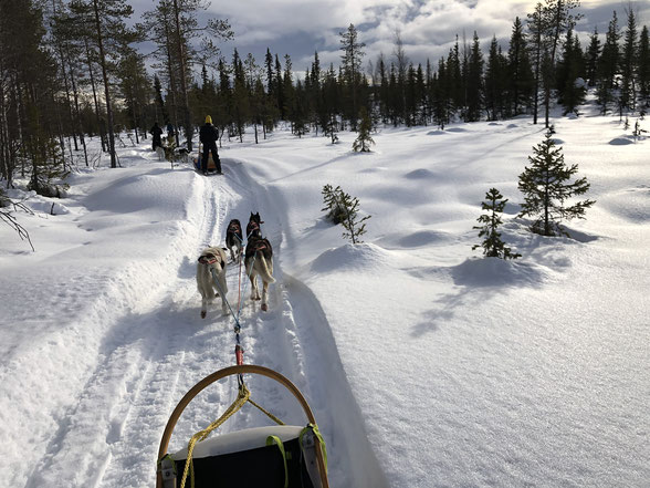 Winterspecial 2026 - Snowmobile Experience – Bild 4