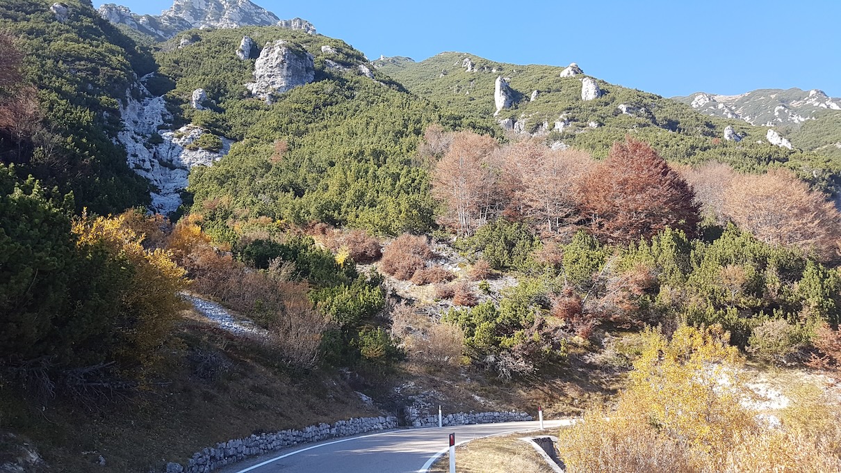 Gardasee 2026 – Bild 6